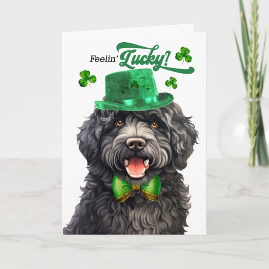 Cartes Pour Fêtes Annuelles Barbet Dog Feelin' Lucky St Patrick's Day (Devant)