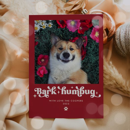 Cartes Pour Fêtes Annuelles Bark Humbug Chien photo Drôle Noël
