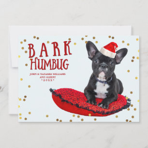 Cartes Pour Fêtes Annuelles BARK Humbug Cute Dog Lovers Holiday Photo Card