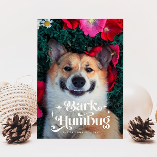 Cartes Pour Fêtes Annuelles BARK HUMBUG Drôle chien Noël
