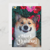 Cartes Pour Fêtes Annuelles BARK HUMBUG Drôle chien Noël (Devant)