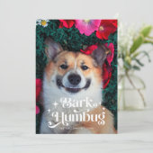 Cartes Pour Fêtes Annuelles BARK HUMBUG Drôle chien Noël (Debout devant)