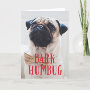 Cartes Pour Fêtes Annuelles Bark Humbug mignon Chien chiot Photo de vacances