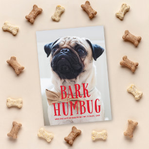 Cartes Pour Fêtes Annuelles Bark Humbug mignon Chien chiot Photo de vacances