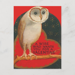 Cartes Pour Fêtes Annuelles Barn Owl Heart Tree Stars Valentine