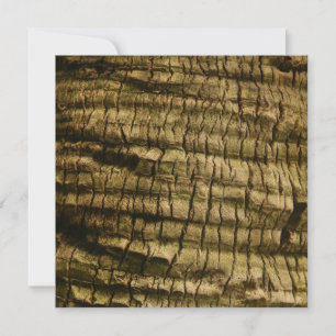 Cartes Pour Fêtes Annuelles Barre de palmiers