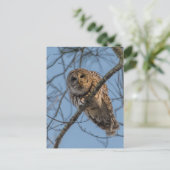 Cartes Pour Fêtes Annuelles Barreau de Chouette vers le bas (Debout devant)