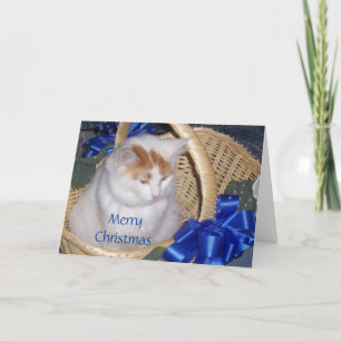 CARTES POUR FÊTES ANNUELLES BASKETFUL DE CHRISTMAS PURRFECT SOUHAITS
