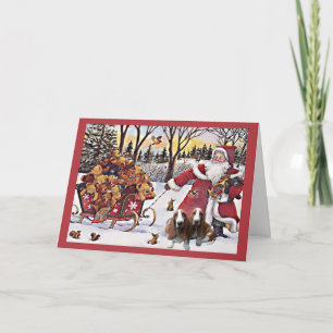 Cartes Pour Fêtes Annuelles Bass Hound Christmas Card Santa Bears In Sleigh
