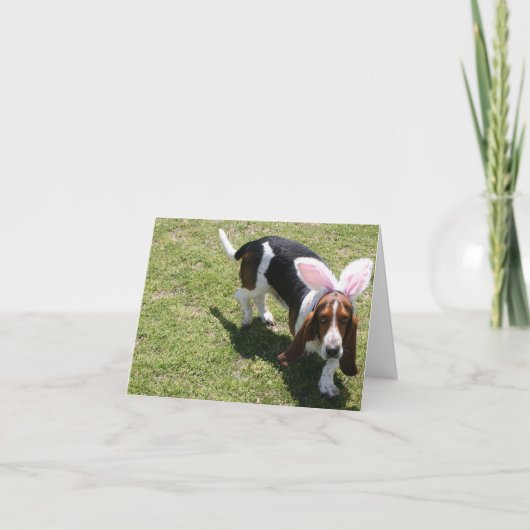 Cartes Pour Fêtes Annuelles Bassett (Devant)