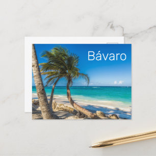 Cartes Pour Fêtes Annuelles Bavaro Beach Caraïbes République Dominicaine Souve