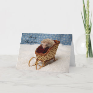 Cartes Pour Fêtes Annuelles BB238777, MerryChristmas !