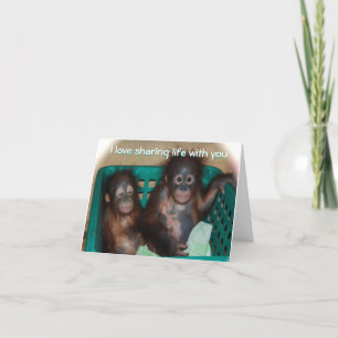 Cartes Pour Fêtes Annuelles Be My Valentine Sweet Baby Animal Photo