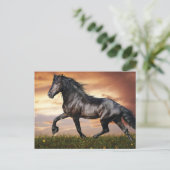 Cartes Pour Fêtes Annuelles Beau Cheval Noir (Debout devant)