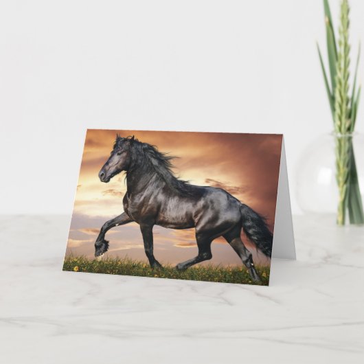 Cartes Pour Fêtes Annuelles Beau Cheval Noir (Devant)