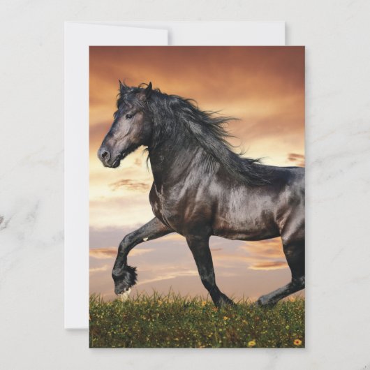 Cartes Pour Fêtes Annuelles Beau Cheval Noir (Devant)