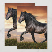 Cartes Pour Fêtes Annuelles Beau Cheval Noir (Devant / Derrière)