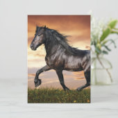 Cartes Pour Fêtes Annuelles Beau Cheval Noir (Debout devant)