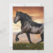 Cartes Pour Fêtes Annuelles Beau Cheval Noir (Dos)