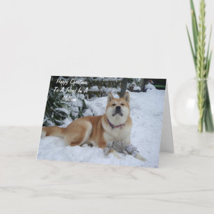 Cartes Pour Fêtes Annuelles beau chien akita reposant dans la neige ami