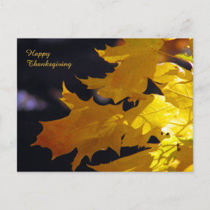 Cartes Pour Fêtes Annuelles Beautiful Autumn Leaves Thanksgiving Greeting