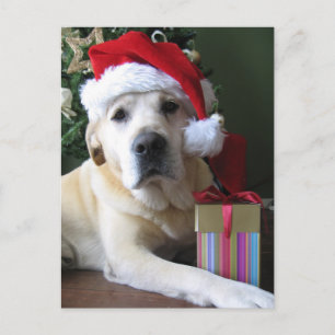 Cartes Pour Fêtes Annuelles Beautiful Yellow Labrador Santa