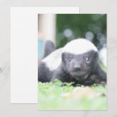 Cartes Pour Fêtes Annuelles Bébé blaireau au miel (Devant / Derrière)