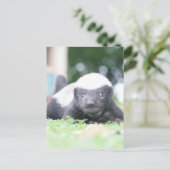 Cartes Pour Fêtes Annuelles Bébé blaireau au miel sur l'herbe verte photo (Debout devant)