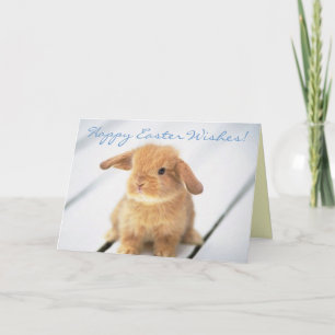 Cartes Pour Fêtes Annuelles Bébé mignon lapin Joyeux Conception de Pâques