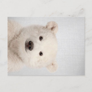 Cartes Pour Fêtes Annuelles Bébé Polar Ours coloré
