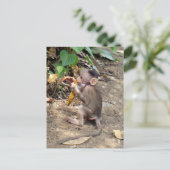 Cartes Pour Fêtes Annuelles Bébé singe (Debout devant)