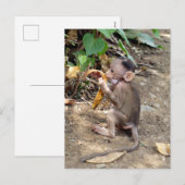 Cartes Pour Fêtes Annuelles Bébé singe (Devant / Derrière)