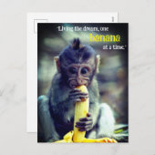 Cartes Pour Fêtes Annuelles Bébé Singe Manger Banane (Devant / Derrière)