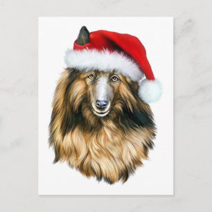 Cartes Pour Fêtes Annuelles Belgique Tervuren Christmas Père Noël