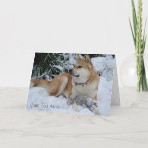 Cartes Pour Fêtes Annuelles belle akita se reposant dans la neige noël