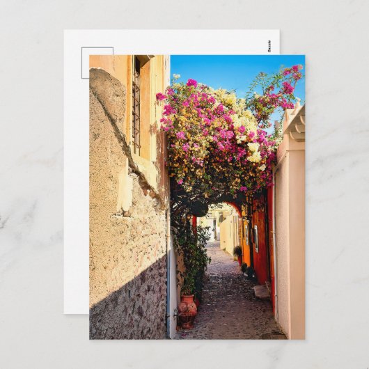 Cartes Pour Fêtes Annuelles Belle allée à Santorin, Grèce (Devant / Derrière)