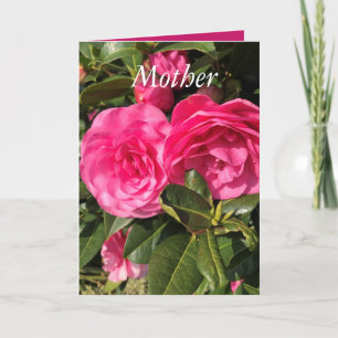 Cartes Pour Fêtes Annuelles Belle Fête des Mères de Camellia Rose