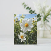 Cartes Pour Fêtes Annuelles Belle Fleurs blanches dahlia ensoleillées do-it-yo (Debout devant)