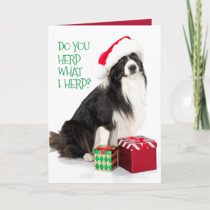 Cartes Pour Fêtes Annuelles Belle frontière d'élevage Collie et cadeaux de Noë