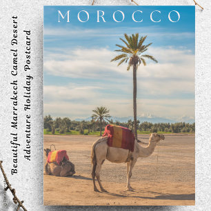 Cartes Pour Fêtes Annuelles Belle Marrakech Camel Desert Adventure