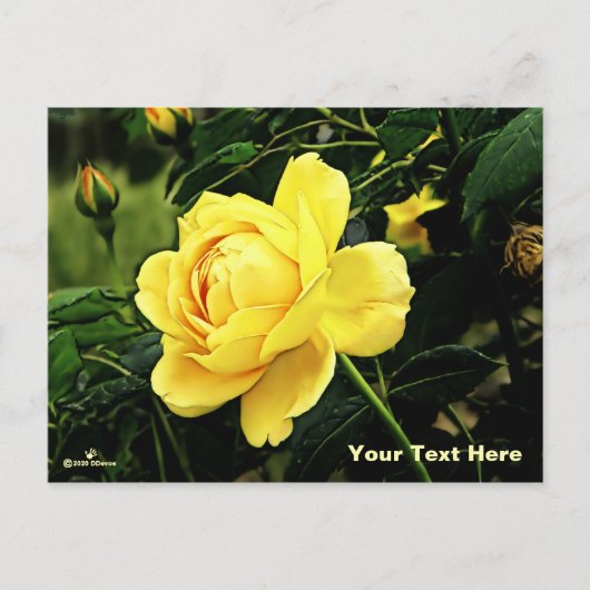 Cartes Pour Fêtes Annuelles Belle Rose Jaune (Devant)