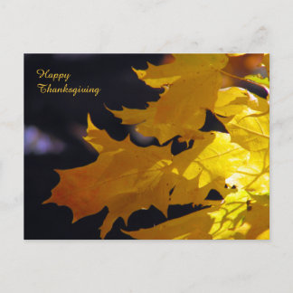 Cartes Pour Fêtes Annuelles Belle salutation de thanksgiving de feuille