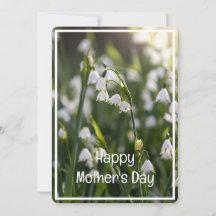 Belles fleurs de printemps Fête des mères