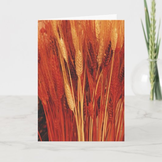 Cartes Pour Fêtes Annuelles Bénédictions abondantes (Devant)