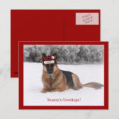 Cartes Pour Fêtes Annuelles Berger allemand de vacances (Devant / Derrière)