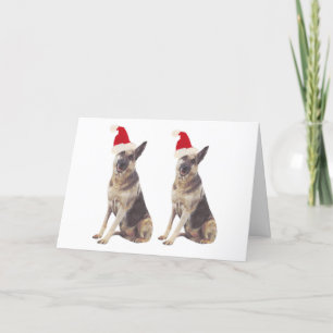 Cartes Pour Fêtes Annuelles Berger allemand Santa Hat