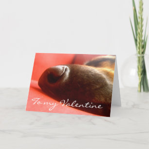 Cartes Pour Fêtes Annuelles Berger allemand Valentine's Card