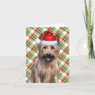 Cartes Pour Fêtes Annuelles Berger Picard Christmas Chien vacances Plaid