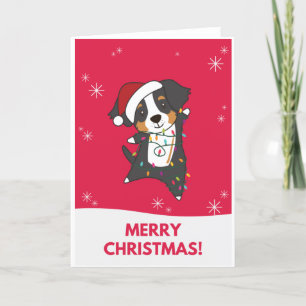 Cartes Pour Fêtes Annuelles Bernese Merry Christmas Happy Christmas Dogs