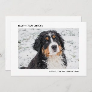 Cartes Pour Fêtes Annuelles Bernese Mountain Dog Photo Mini Noël